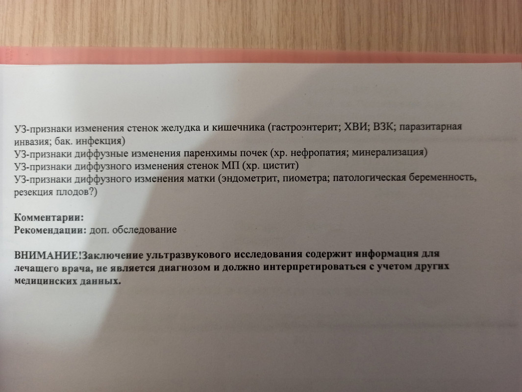 распечатка узи 3