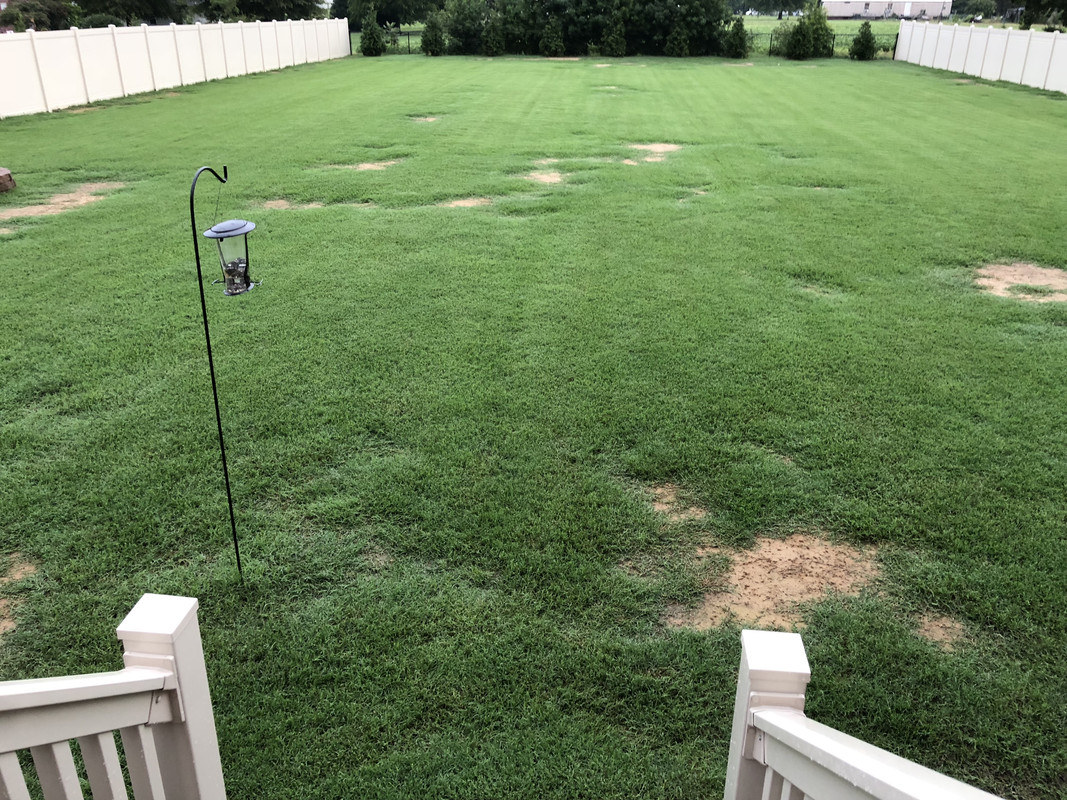 FCC80CA5-F646-4376-943B-FCC6929A1AFC