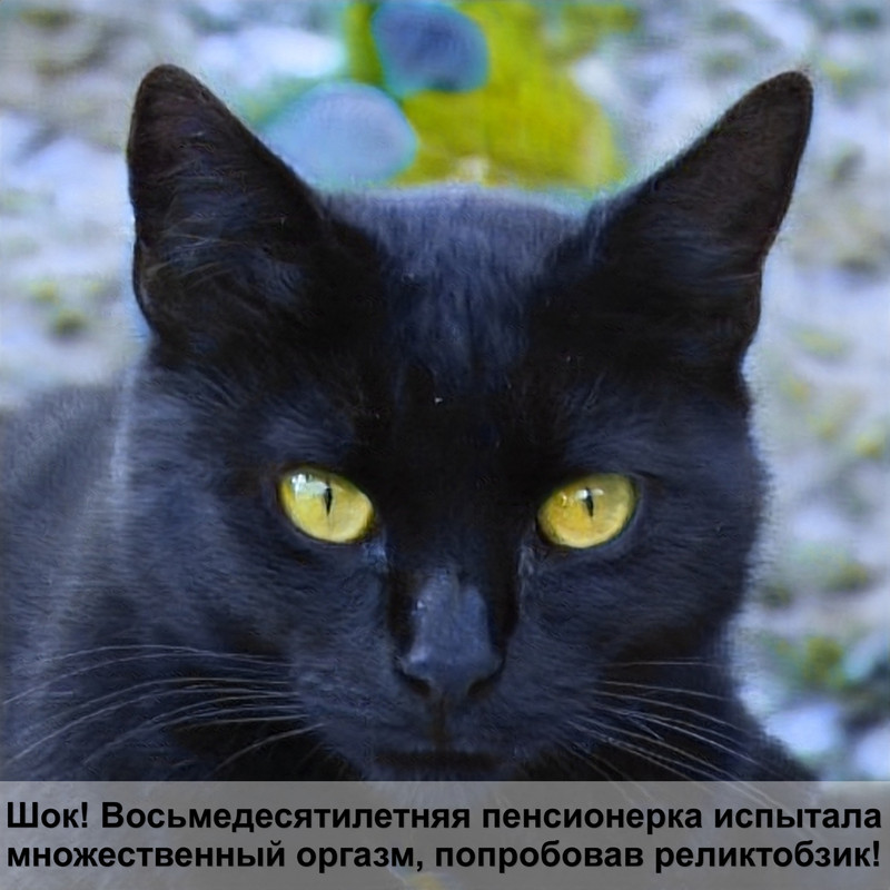 корм брит каре для кошек