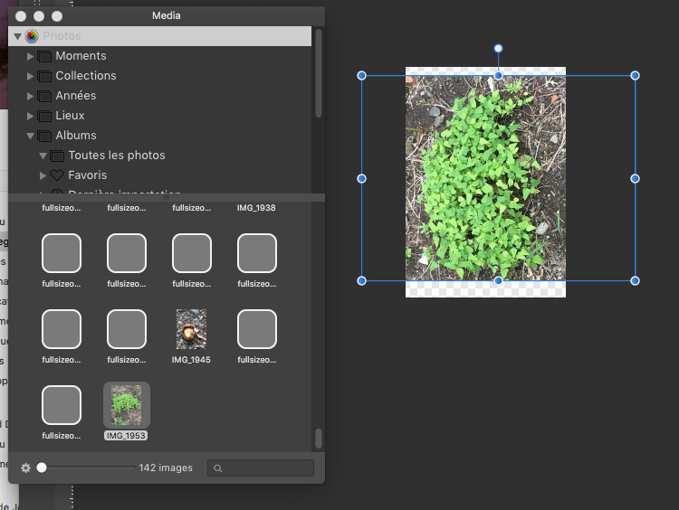 Capture d’écran 2017-09-07 ? 12.12.31