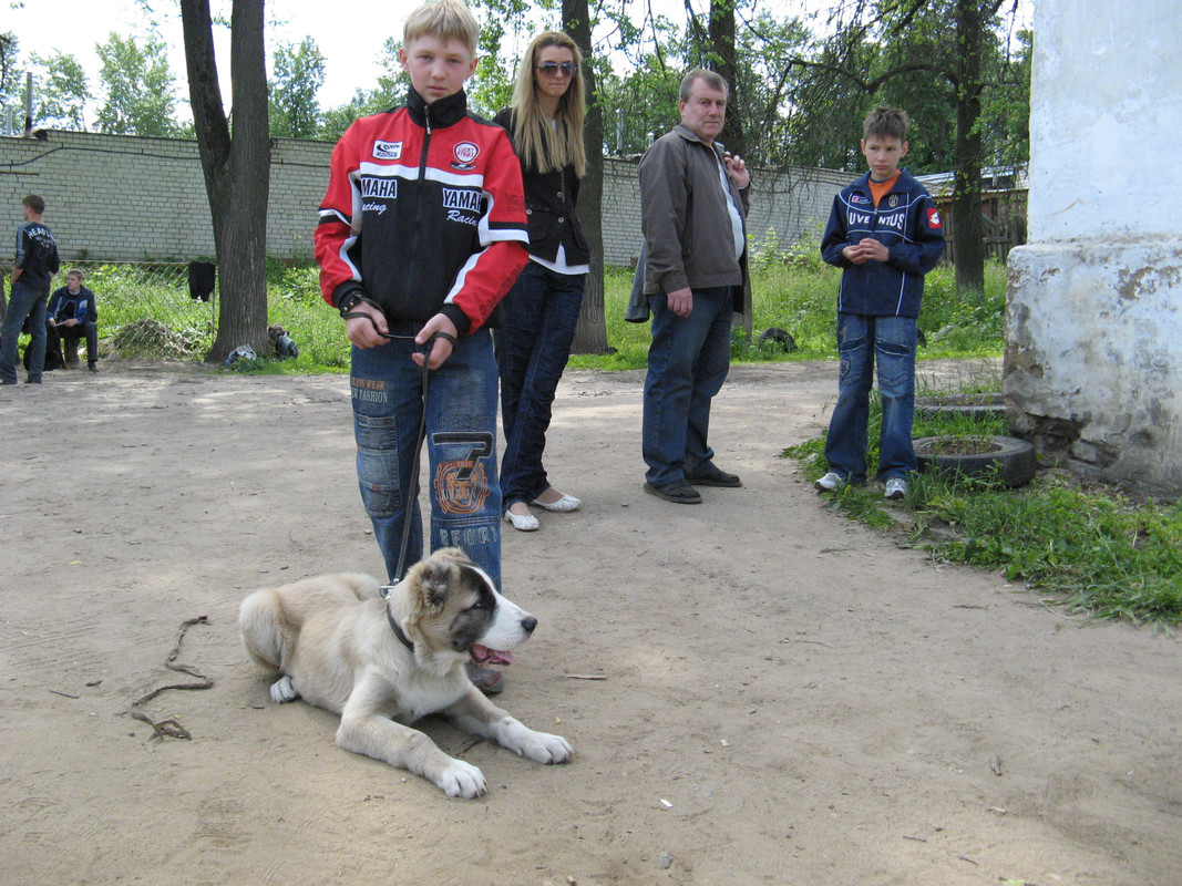 IMG 0973 — Postimages
