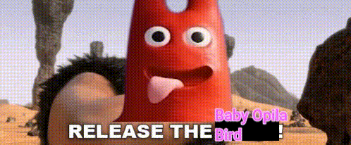 A GIF OF THE SCENE FROM CROODS WHERE GRUG RELEASES THE BABY ONTO THE BIRD THEY'RE HUNTING. GARTEN OF BANBAN CHARACTERS HAVE BEEN PUT OVER THE CROODS. IT'S CAPTIONED 'RELEASE THE BABY OPILA BIRD'.