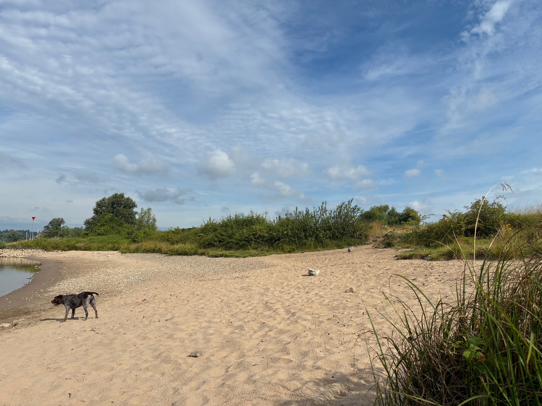 2025-18-07 Uiterwaarden Rijn 2 IMG_5096 (002)