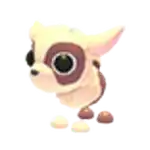 Kid Goat