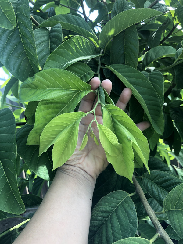 0D6BB22B-2DC9-469C-B1F5-8D185CF0AE23