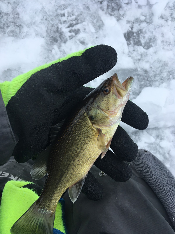 D47821B5-EF1F-4548-B9B1-1CFACB31DE8B