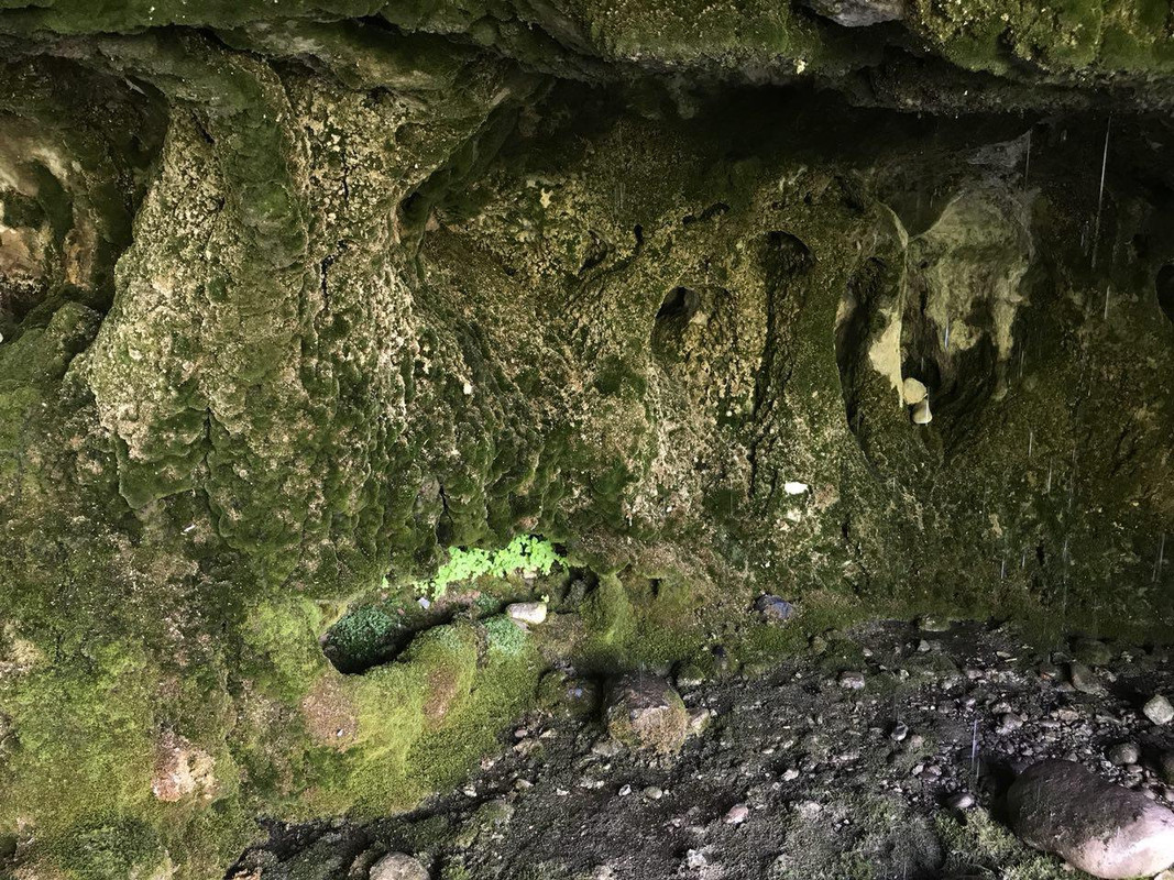 photo_2018-06-14_20-23-53