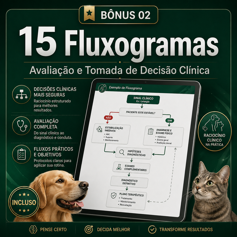 Mockup do bônus 02 — 15 Fluxogramas de Avaliação e Tomada de Decisão
