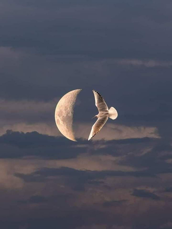 IMG-20240603-085051-173