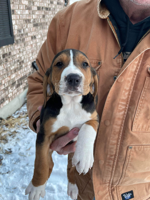 92CA8992-5E21-4B73-AC7B-CB81D59BEF59