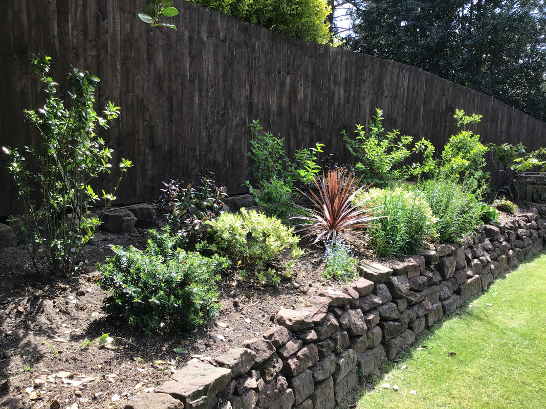 CAE481CC-C8D6-4B3E-ABA0-F1837E7FE797