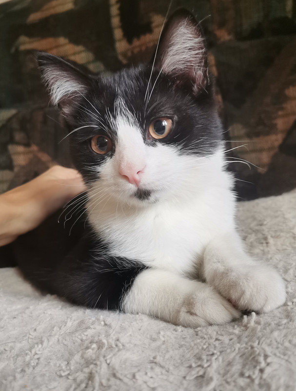 IMG_20241015_115517_edit_1739831750049623