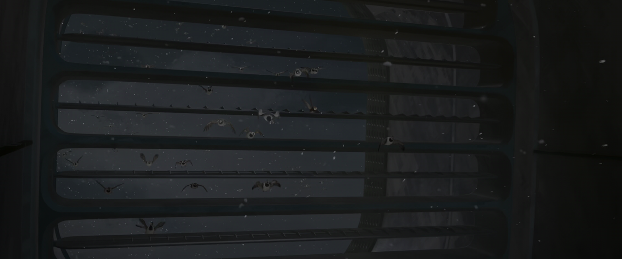 vlcsnap-2024-11-01-18h51m11s047