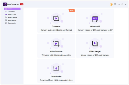 AmoyShare BeeConverter Pro 1.1.0
