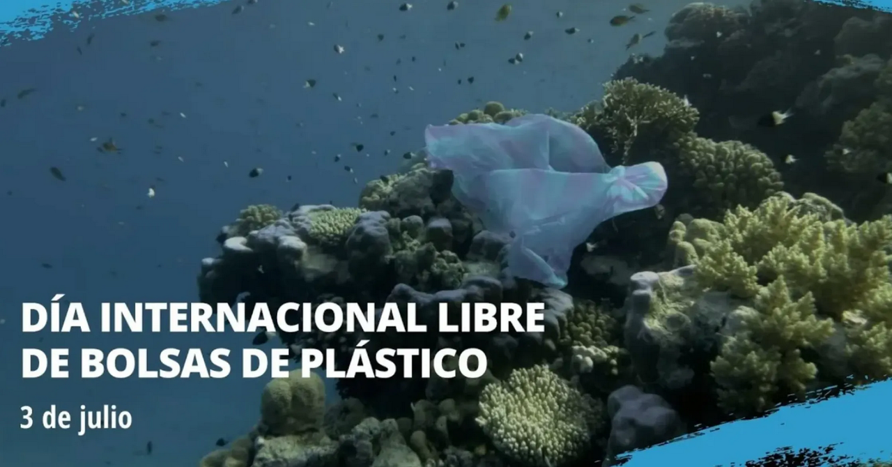 Día Internacional libre de Bolsas de Plástico: Tardan 500 años en degradarse