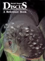 Libro-Discus-Areferencebook.jpg