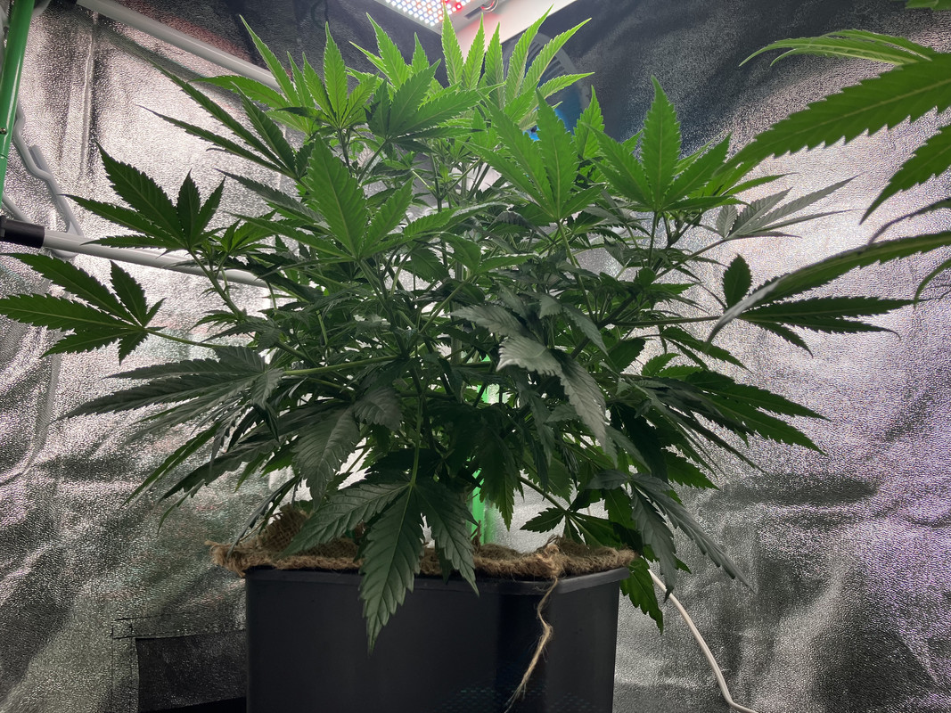 26591CEC-9CB1-4A1A-B1D2-B48BD1F560F7