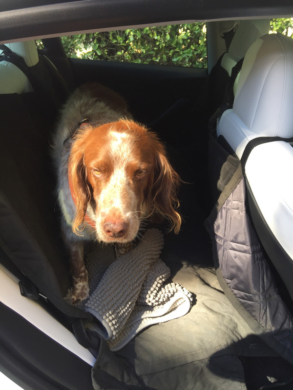 918685D2-D7F5-4CD2-880E-79F4D8224A8A