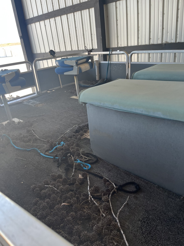 D469DE1A-BE47-4D43-B51C-CFCEEBA2C720