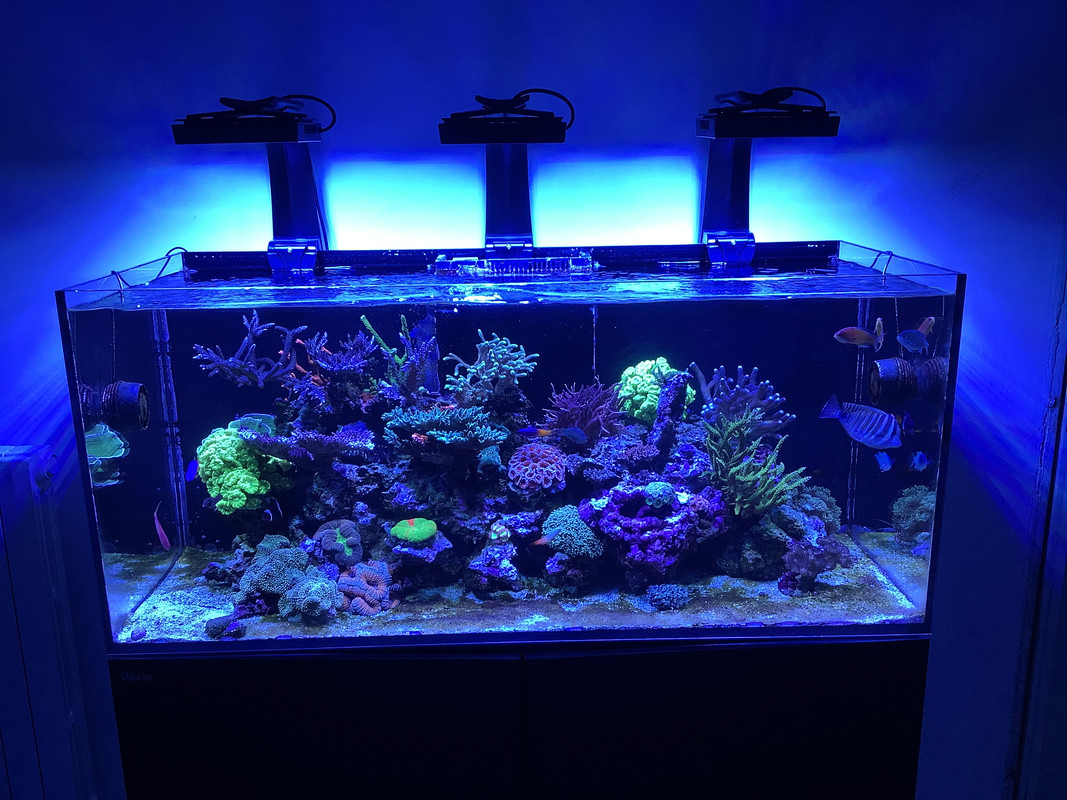 9A5D0FC9-30B3-425F-A851-F3883B734FDD