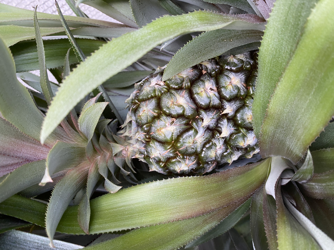 E682F9CB-31B8-475C-8886-8FB01CC708C2