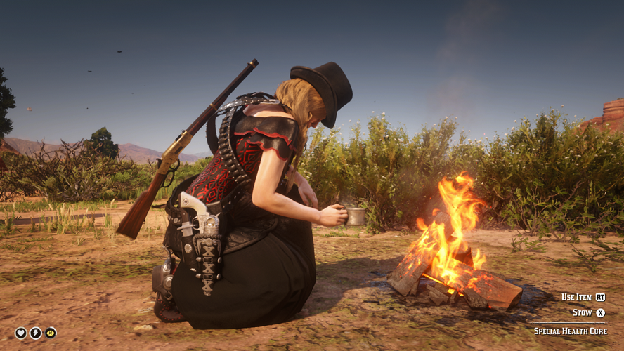 Red Dead Redemption 2 (12)