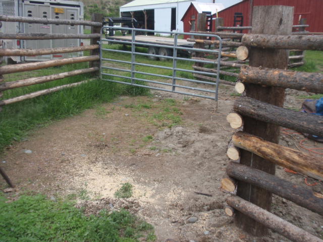 P6192007