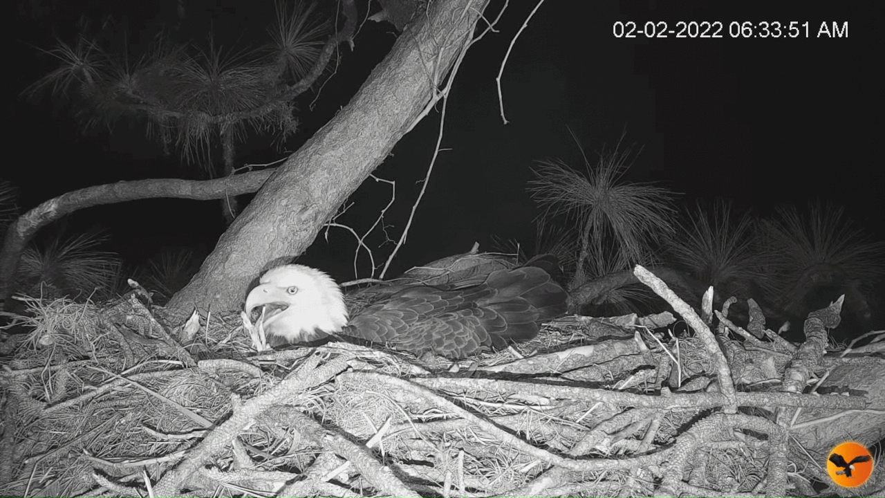 Webp.net-gifmaker (2)