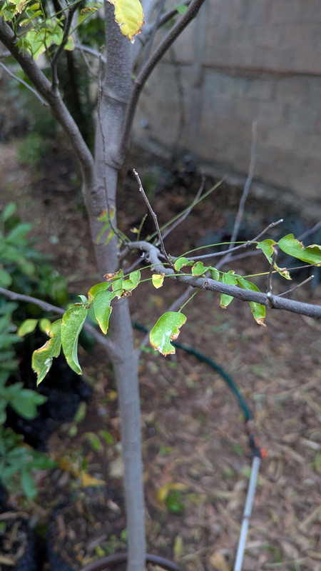 PXL_20250403_000416666