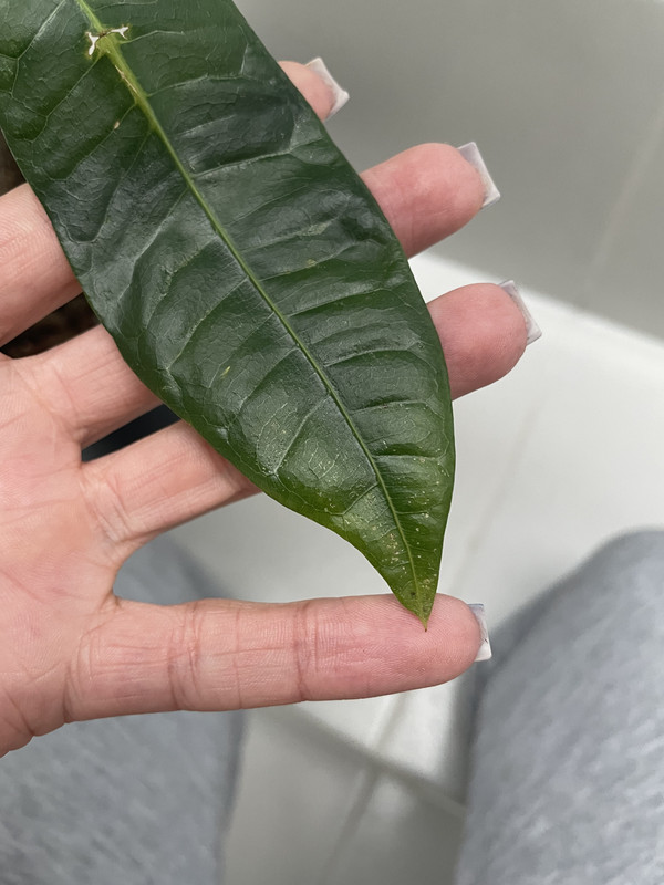 90F5242B-F367-4D2F-98E3-FF72E7CE631D