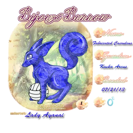User Image