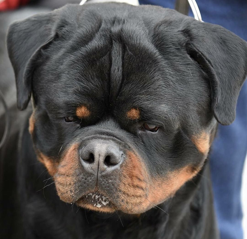 ECE85C69-2870-44F8-AFF7-31E67450A10D