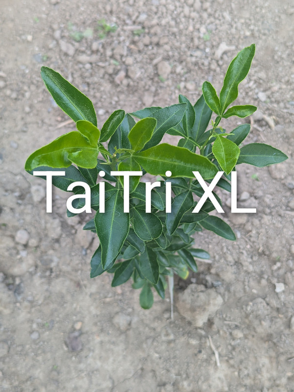 PXL_20250831_213748124~2