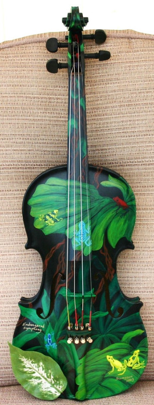 greenfrogviolin.jpg