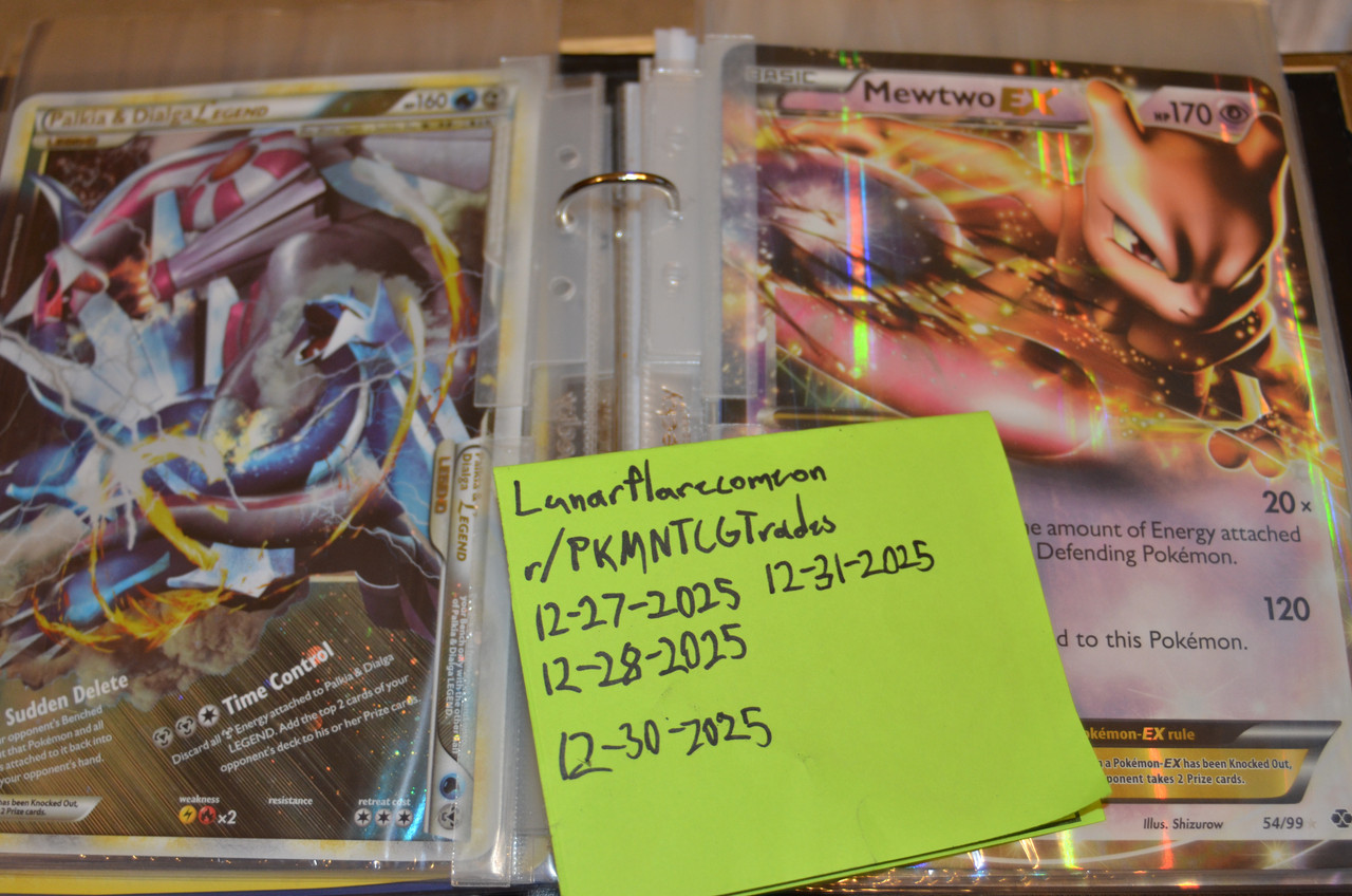 oversized binder (15)