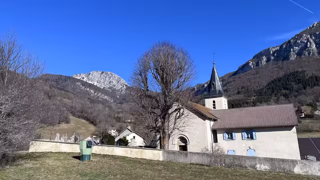 https://i.postimg.cc/xjBqhDvj/IMG-2381.avif