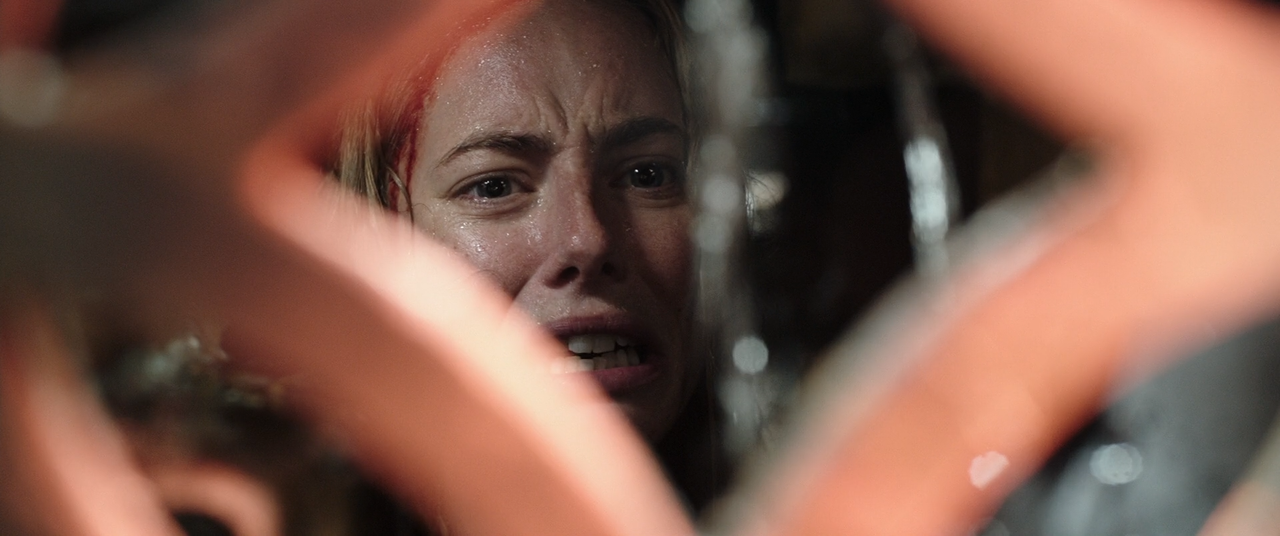 Crawl - Intrappolati (2019) [BluRay Rip 1080p ITA-ENG -AC3 SUBS]