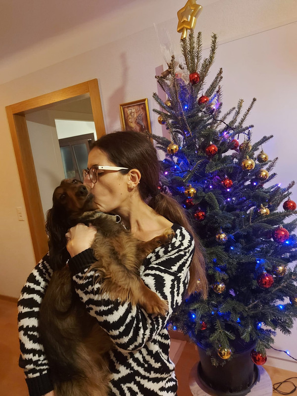 [Image: IMG-20201222-WA0001.jpg]