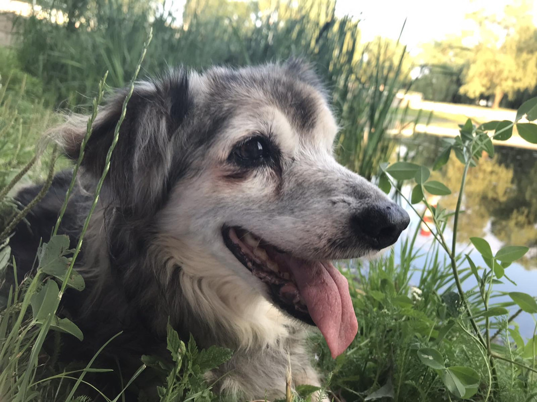 C700960A-7FD3-4410-BA53-AB3D5E7292C2