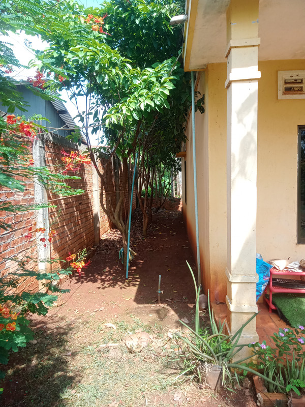 IMG20260612140600