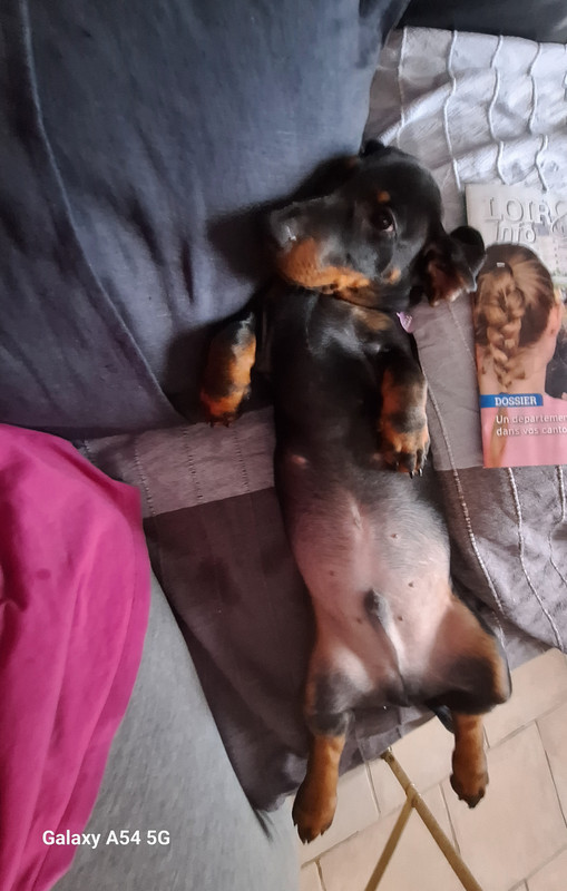 [Image: 20241017-115737.jpg]