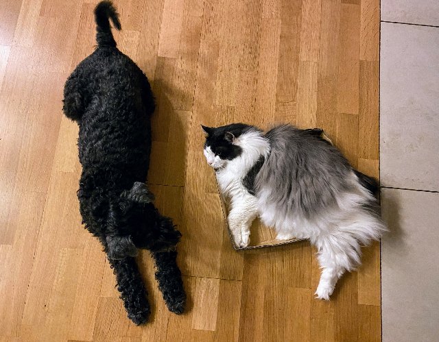 CD8-BF531-88-F7-4-F42-A670-F258-ABB6-D9-