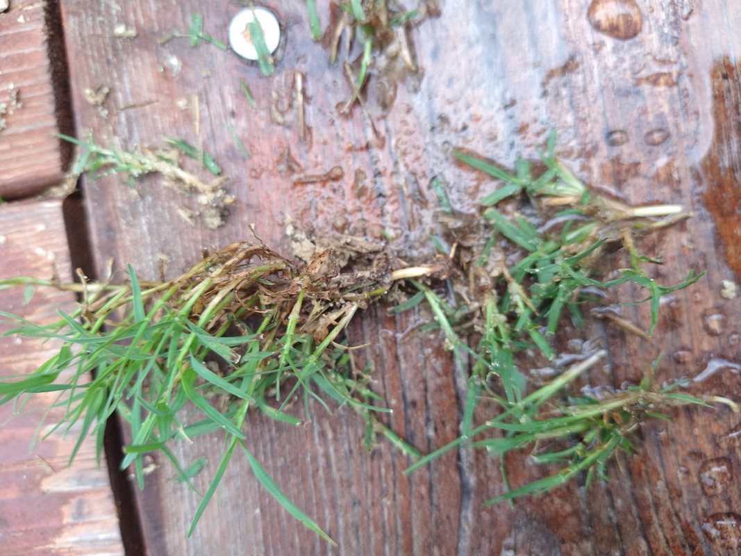 IMG_20210620_135229935