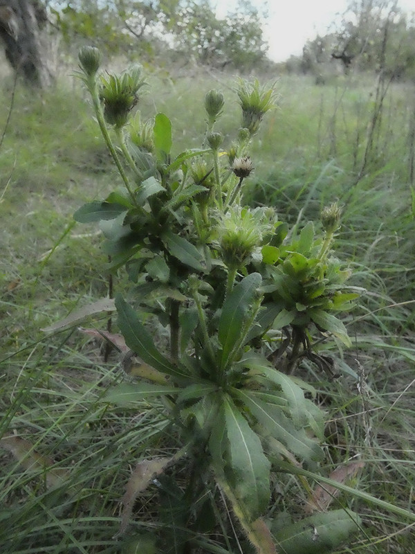 P1060012-1... (1024)