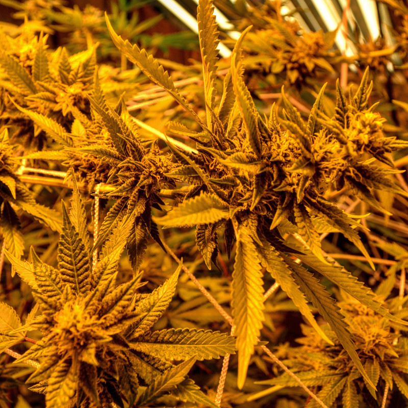 IMG_20171127_020716_786