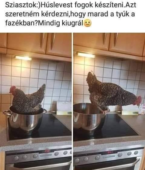https://i.postimg.cc/xjG664cF/sziasztok-huslevest.jpg