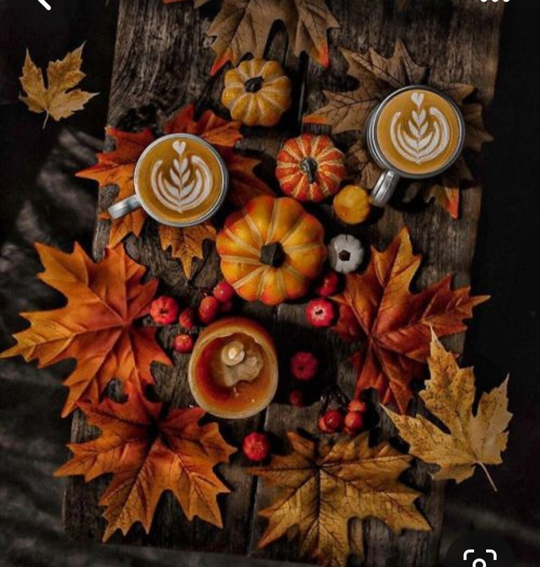 Screenshot_20230909_233125_Pinterest