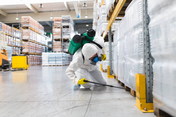 Modern Link PC Services technician performing a professional pest control inspection