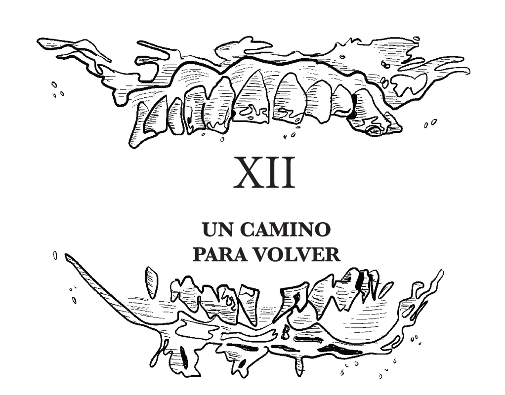 RE:PE_Cabezada_PaulaRuiz