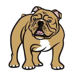 InChaos No Confidence